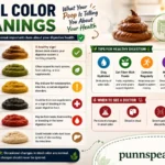 Stool Color Meanings