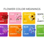Flower Color Meanings Chart
