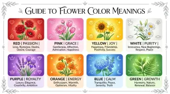 Different Color Flower Meanings