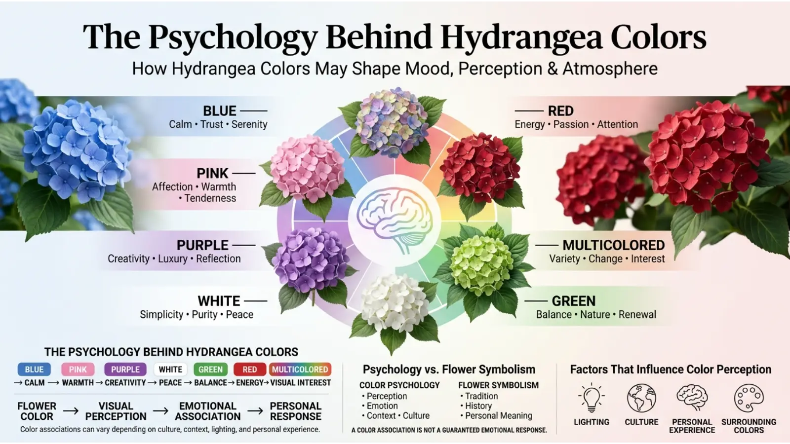 The Psychology Behind Hydrangea Colors